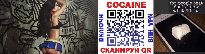 Кокаин FishScale  продажа наркотиков  Курильск 