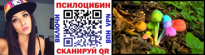 дарнет шоп  Курильск  Псилоцибиновые грибы GOLDEN TEACHER 